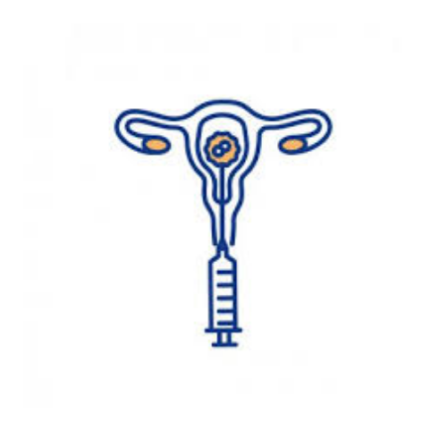 IVF Cost