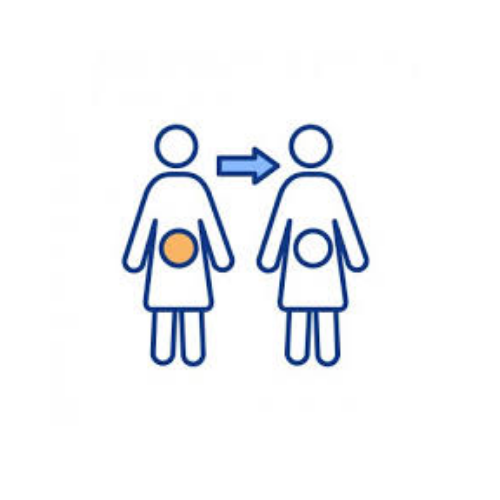 Oocyte Donation
