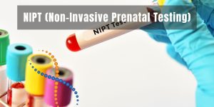 What is NIPT Test